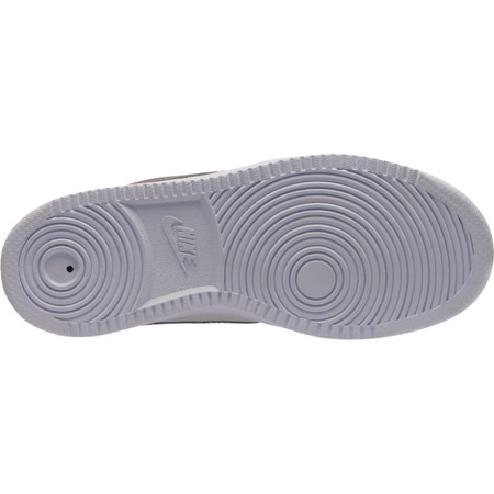 Nike Court Borough Low (GS) "Alter Basketball" (007)