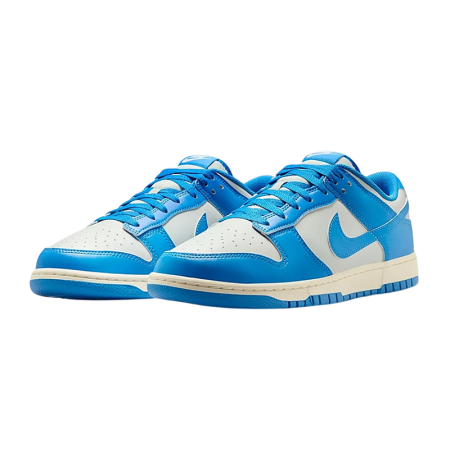 Nike Dunk Low Detroit Lions
