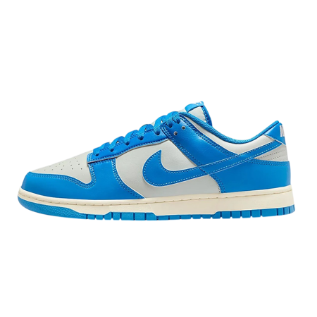 Nike Dunk Low Detroit Lions