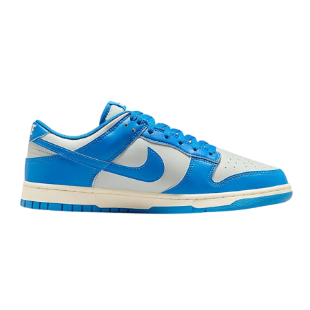 Nike Dunk Low Detroit Lions