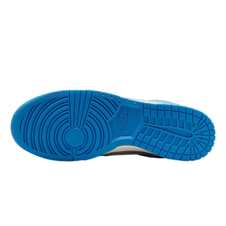 Nike Dunk Low Detroit Lions