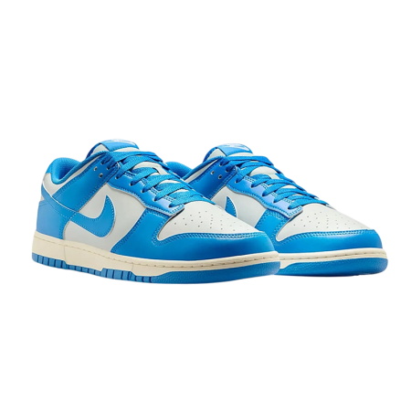 Nike Dunk Low Detroit Lions