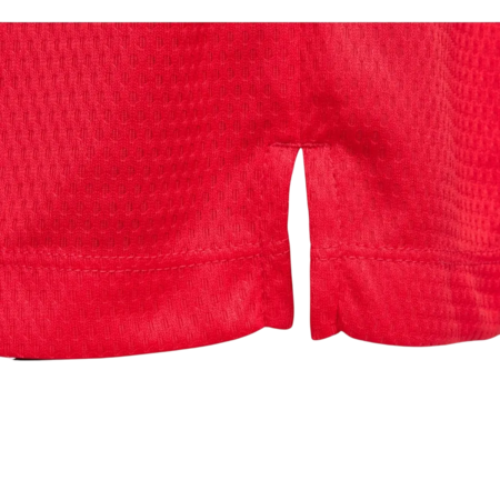 Nike Icon Dri-FIT Basketball Shorts "University Red"
