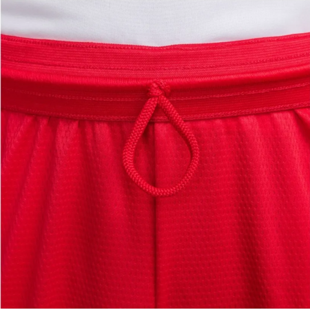 Nike Icon Dri-FIT Basketball Shorts "University Red"