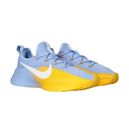 Nike LeBron TR 1