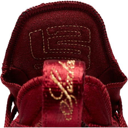 Nike Lebron XVI "Der König" (601)