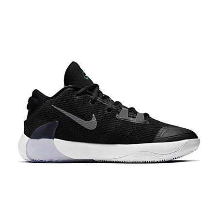Nike Zoom Freak 1 Antetokounmpo "Black" (GS)