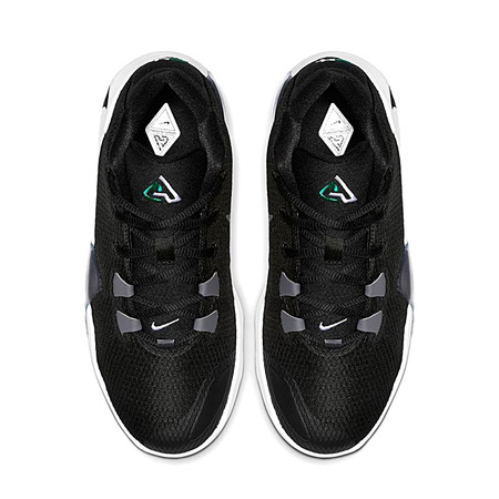 Nike Zoom Freak 1 Antetokounmpo "Black" (GS)