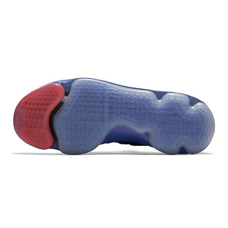 Nike Zoom KD 9 GS "Roar From The Floor" (484)