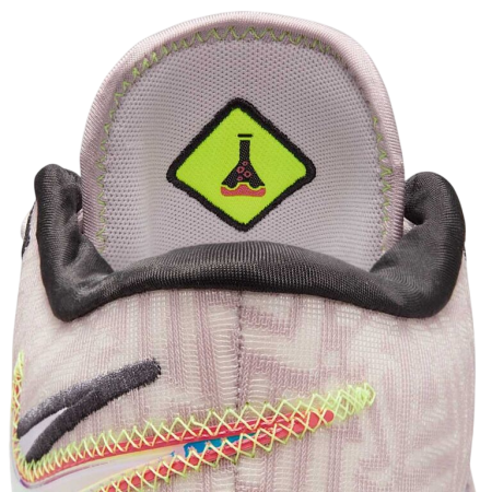 Nike Zoom LeBron NXXT Genisus "Platinum"