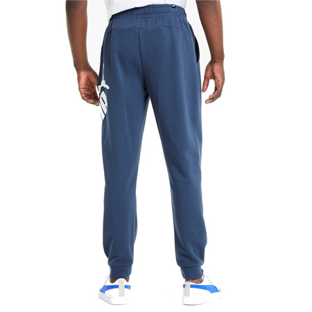 Puma Big Logo Hosen TR