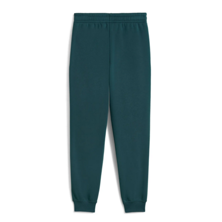 Puma ESS 2 COLOR Logo Sweatpants "Green Terrain"
