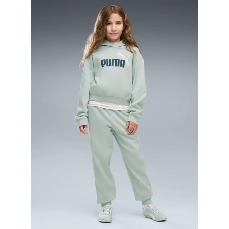 Puma ESS 2 COLOR No. 1 Logo​ Short Length Hoodie FL G "Créme De Mint"