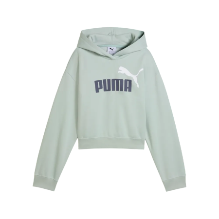 Puma ESS 2 COLOR No. 1 Logo​ Short Length Hoodie FL G "Créme De Mint"