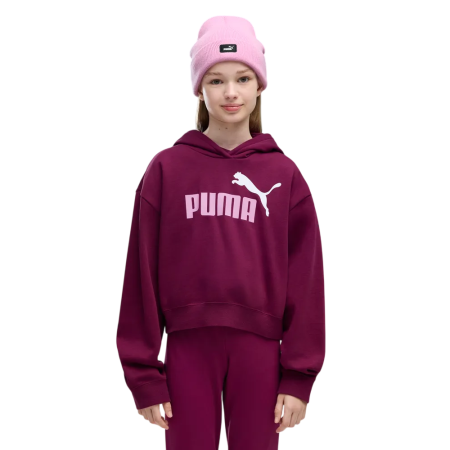 Puma ESS 2 COLOR No. 1 Logo​ Short Length Hoodie FL G "Fuchsia Glow"