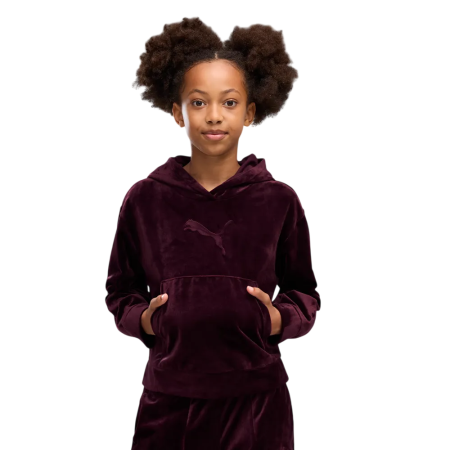 Puma ESS ELEVATED Velour Relaxed Short Length Hoodie "Ruby Noir"