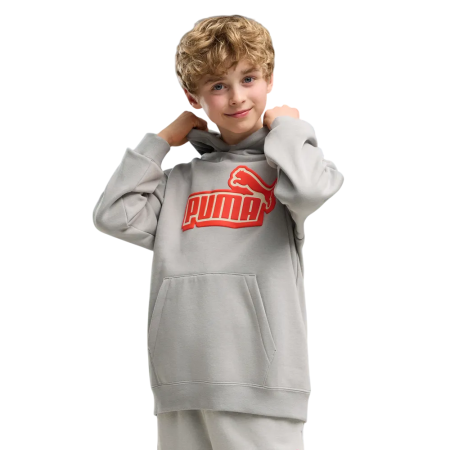 Puma ESS LOGO LAB Relaxed Hoodie FL B "Gray Echo"