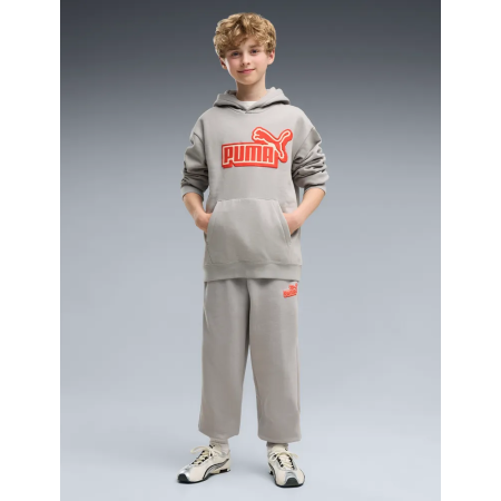 Puma ESS LOGO LAB Relaxed Hoodie FL B "Gray Echo"