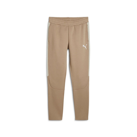 Puma EVOSTRIPE Hosen DK "Oak Branch"