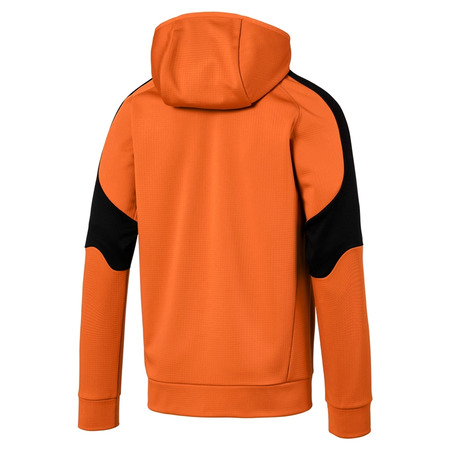 Puma Evostripe Warm FZ Kapuze
