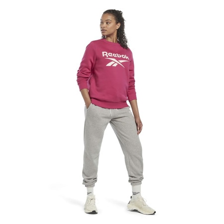 Reebok Identität Logo Fleece Hoodie