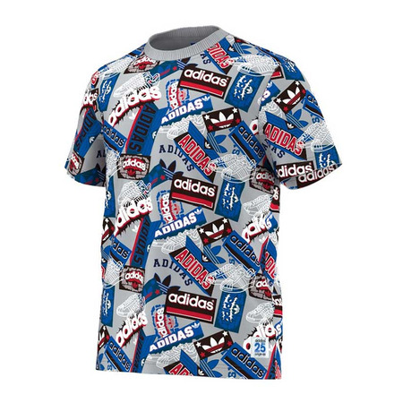 Adidas Originals T-Shirt 25o Slam By Nigo (gris/multicolor)