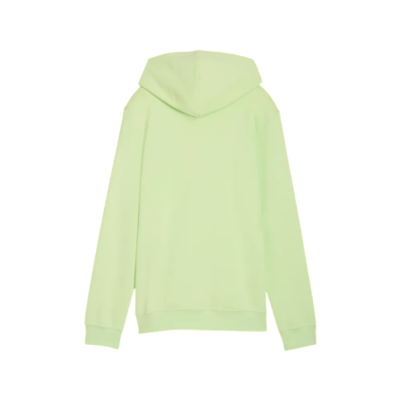 Puma ESS 2 COLOR Hoodie Logo " Apple Spritz"