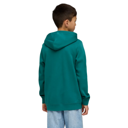 Puma ESS 2 COLOR Logo Hoodie "Emerald Ice"