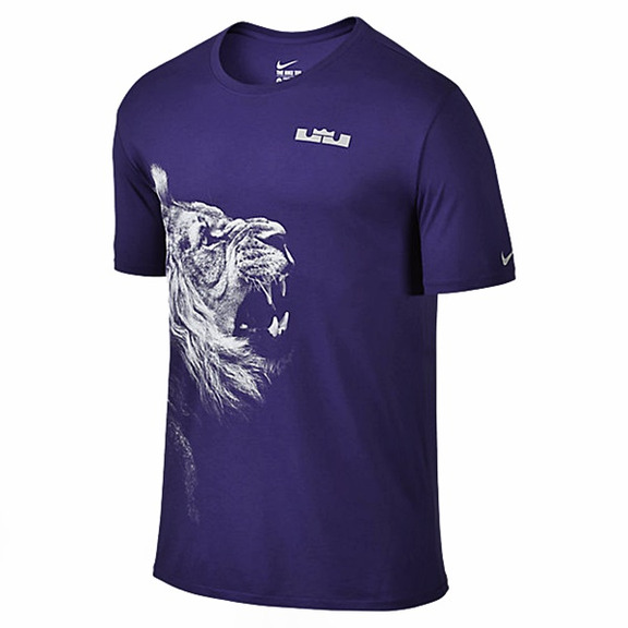 LeBron T-Shirt Arch (547/morning/white)