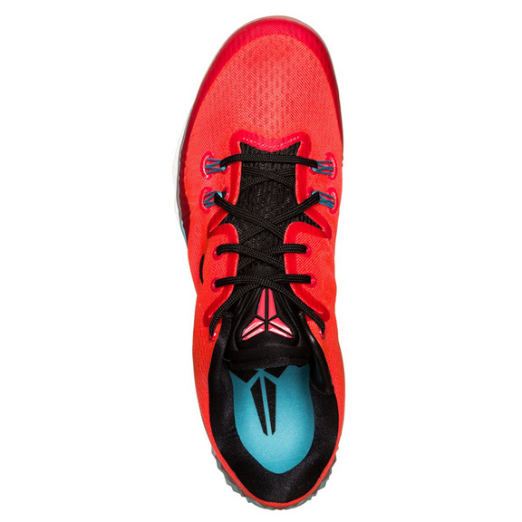 Zoom Kobe Venomenon 5 "Bright Crimson" (604/bright crimson/black/blue)