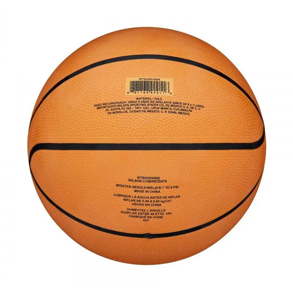 Basketball Wilson Gamebreaker
