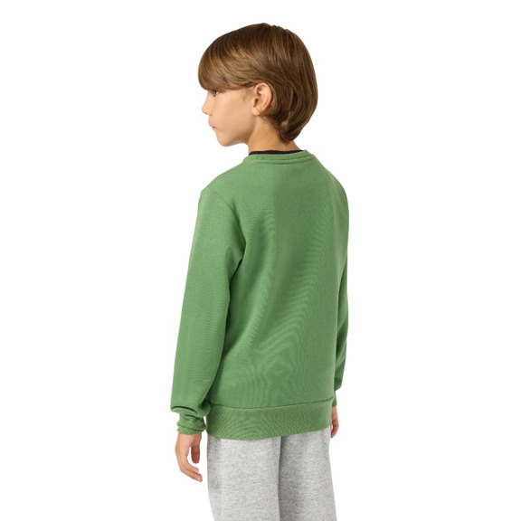 Champion Kids Graphic Crew Neck Sweatshirt "Green"