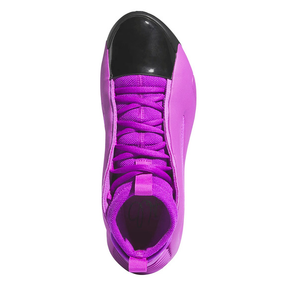 Härten Band 8 "Purple Burst"