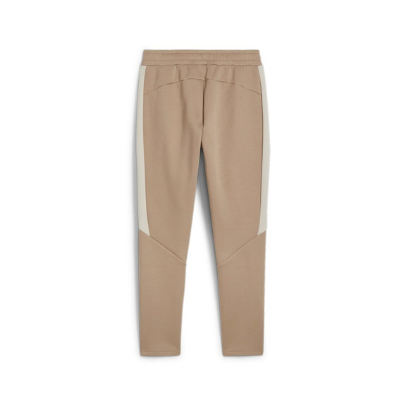Puma EVOSTRIPE Hosen DK "Oak Branch"