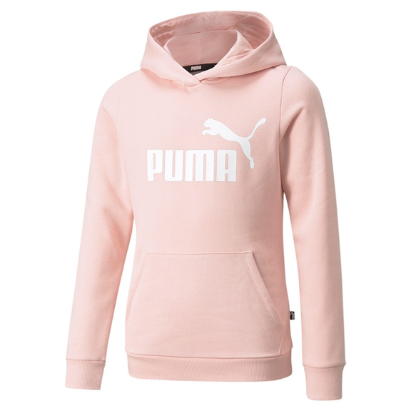 Puma Junior Logo Hoodie
