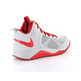 Nike Dual Fusion BB (GS) (008/Wolfgrau/Universität rot)