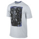 LeBron Is Carbonated (042/gris/royal)