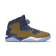 Air Jordan Spike Forty "Goldblatt"
