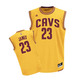 Adidas T-Shirt Réplica Lebron James Cavaliers (gelb/burde)