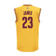 Adidas T-Shirt Réplica Lebron James Cavaliers (gelb/burde)