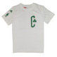 Adidas NBA Camiseta Niño Fan Tragen Boston Celtics (blanco/verde)