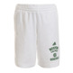 Adidas NBA Short Boston Celtics Washed (blanco/verde)
