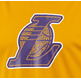 Adidas Camiseta Niño NBA Entreno Seers Smer R (gelb/rein)