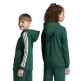 Adidas CODES COLLEGIATE GRAPHIC HOODIE "Green"