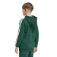 Adidas CODES COLLEGIATE GRAPHIC HOODIE "Green"
