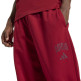 Adidas COLLEGIATE Joggers "Red"