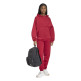 Adidas Future Icons Small Logo Pants "Red-Active maroon"