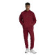 Adidas Hoodie Future Icons Small Logo "Red"