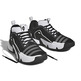 Adidas Trae Young Unlimited Jr. Defiant.