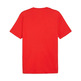 Puma T-Shirt SCHAUBILD Sommer "Rot"